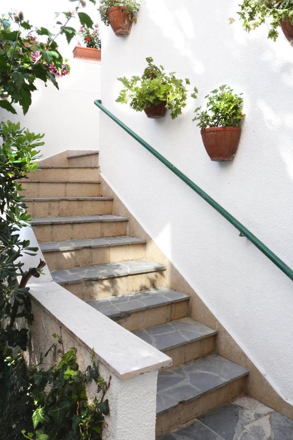 Luxury Garden Apartament *